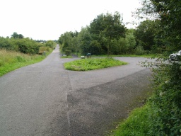 Image on trail